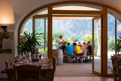 Wine tasting in a Trentino winery in the Valle dei Laghi 3